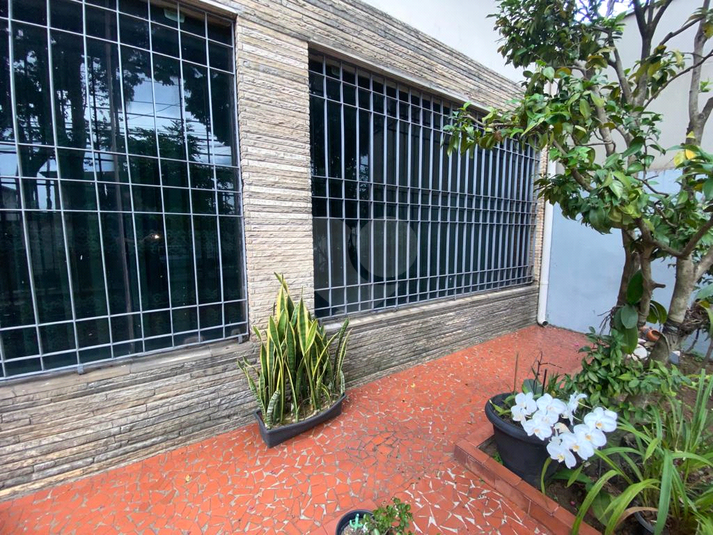 Foto REO764091