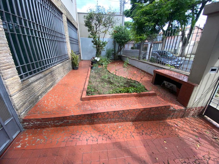 Foto REO764091