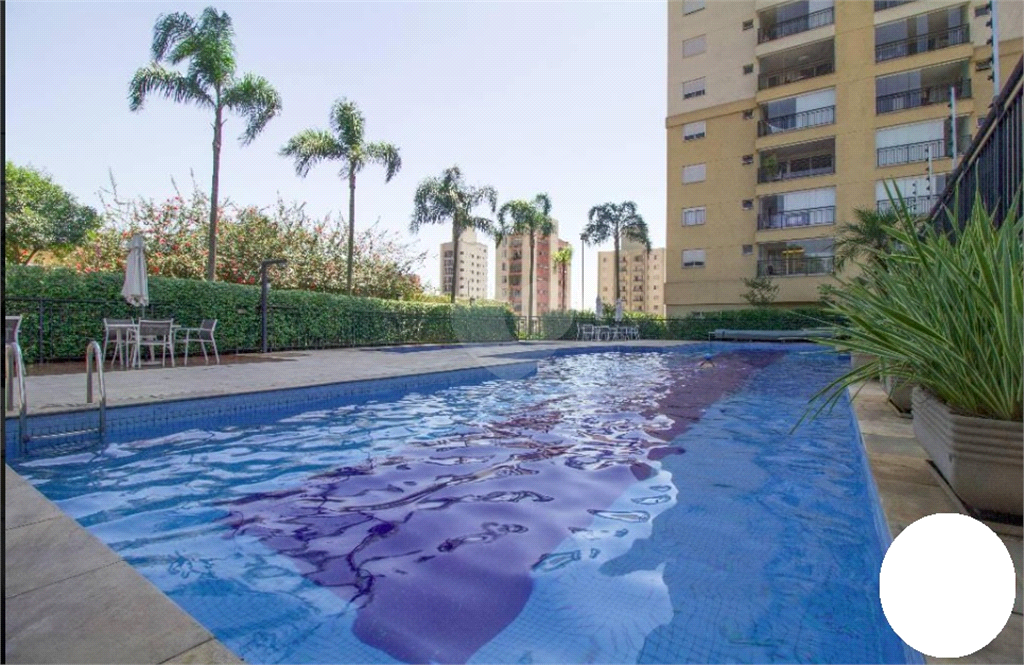 Venda Apartamento São Paulo Jardim Brasil (zona Sul) REO764577 45