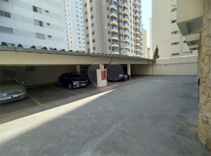 Foto REO765047