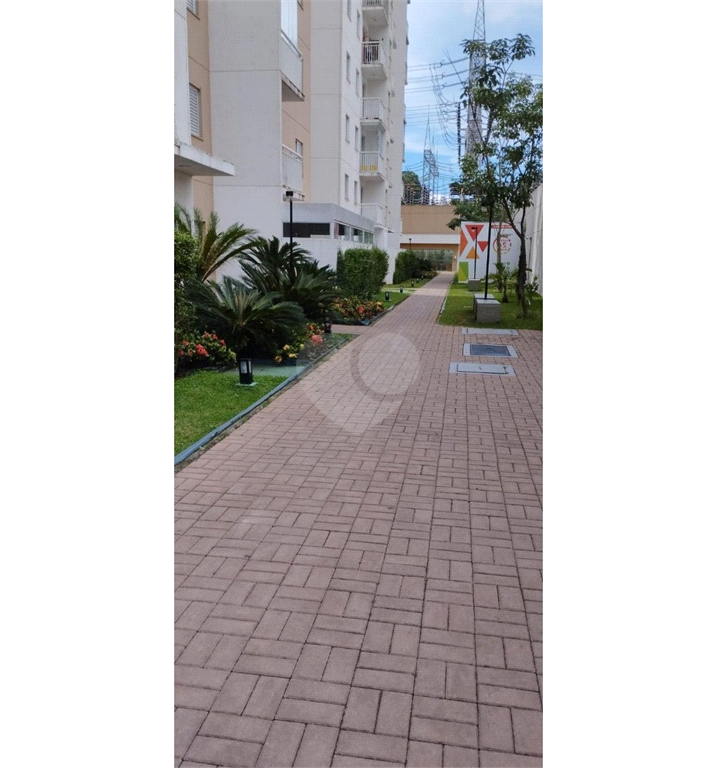 Venda Apartamento São Paulo Jardim Colonial REO765088 1