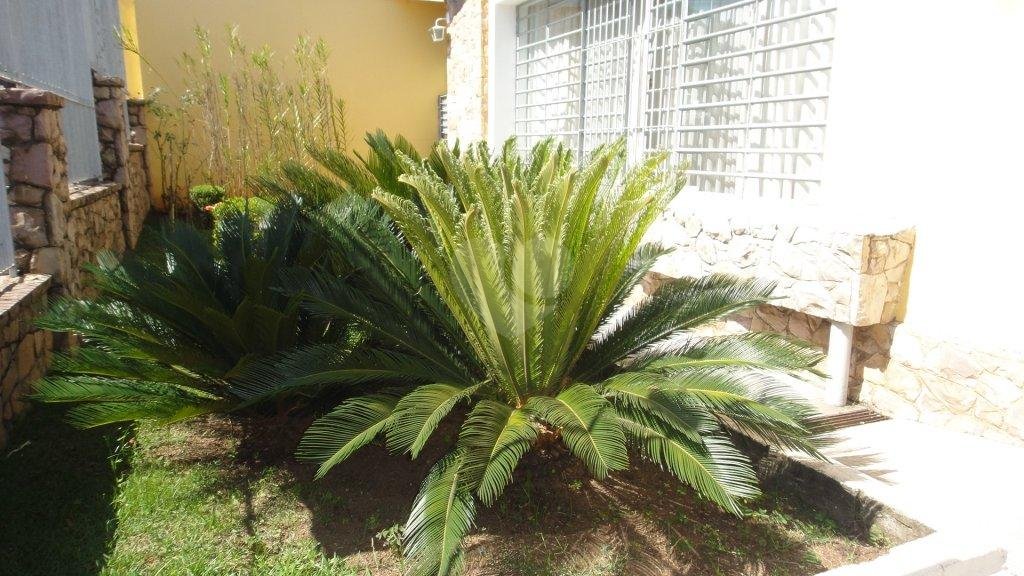 Venda Casa térrea São Paulo Vila Ipojuca REO76517 3