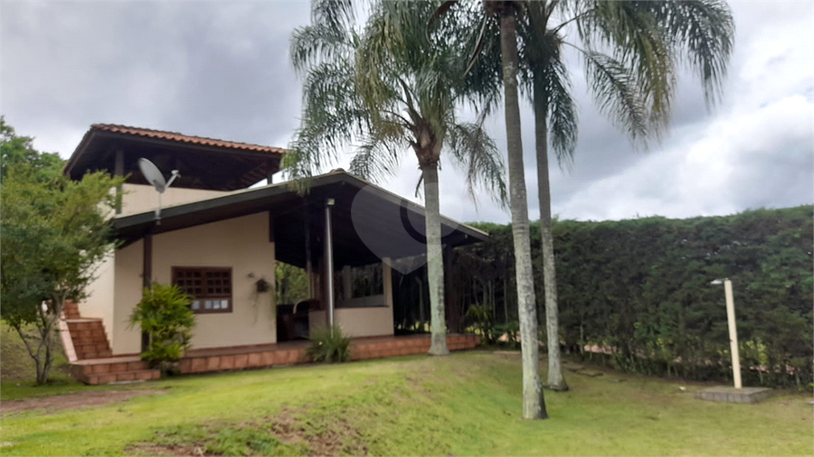 Foto REO765329
