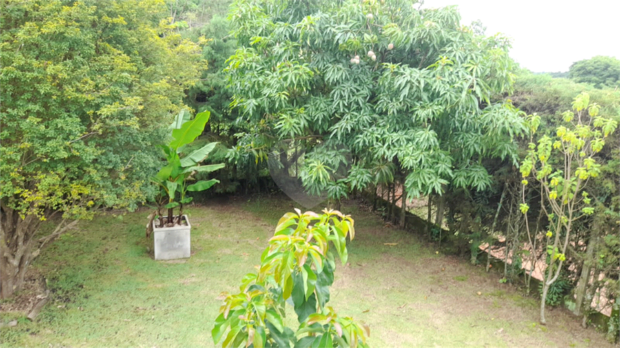 Foto REO765329