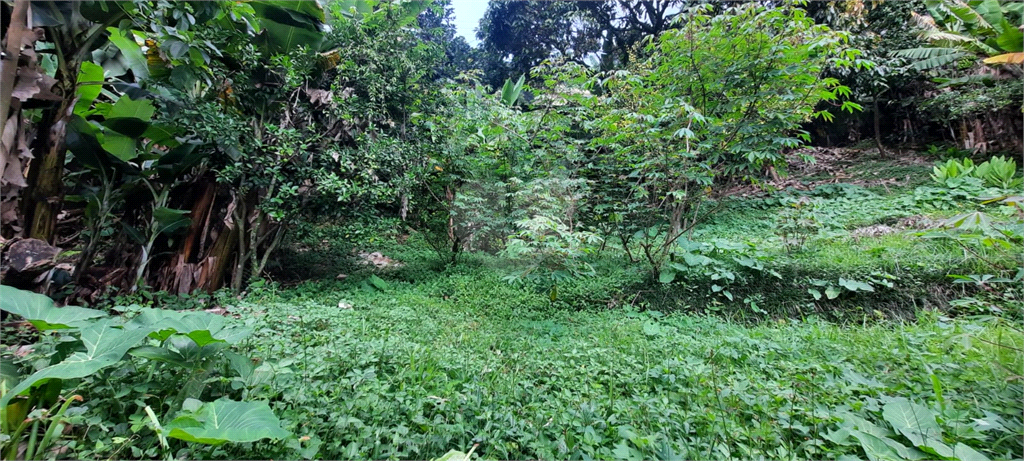 Venda Casa São Paulo Tremembé REO765628 7