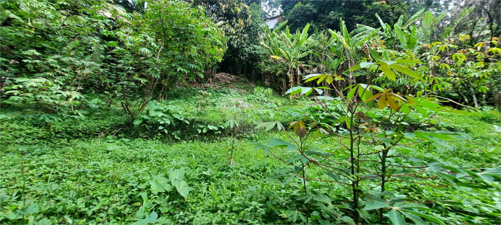 Venda Casa São Paulo Tremembé REO765628 8