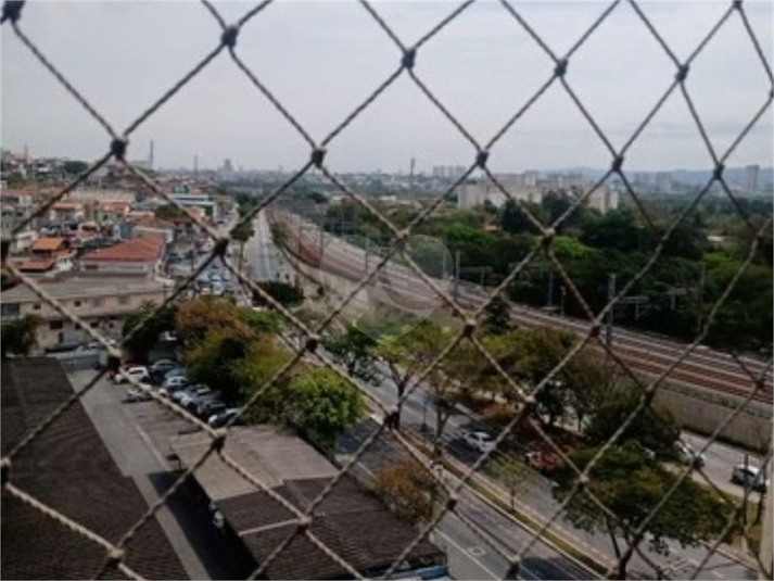 Foto REO765640