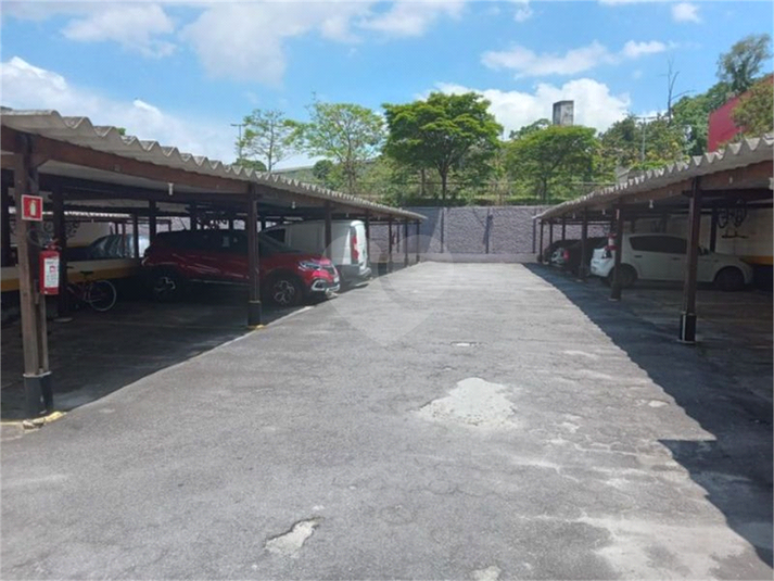 Foto REO765640