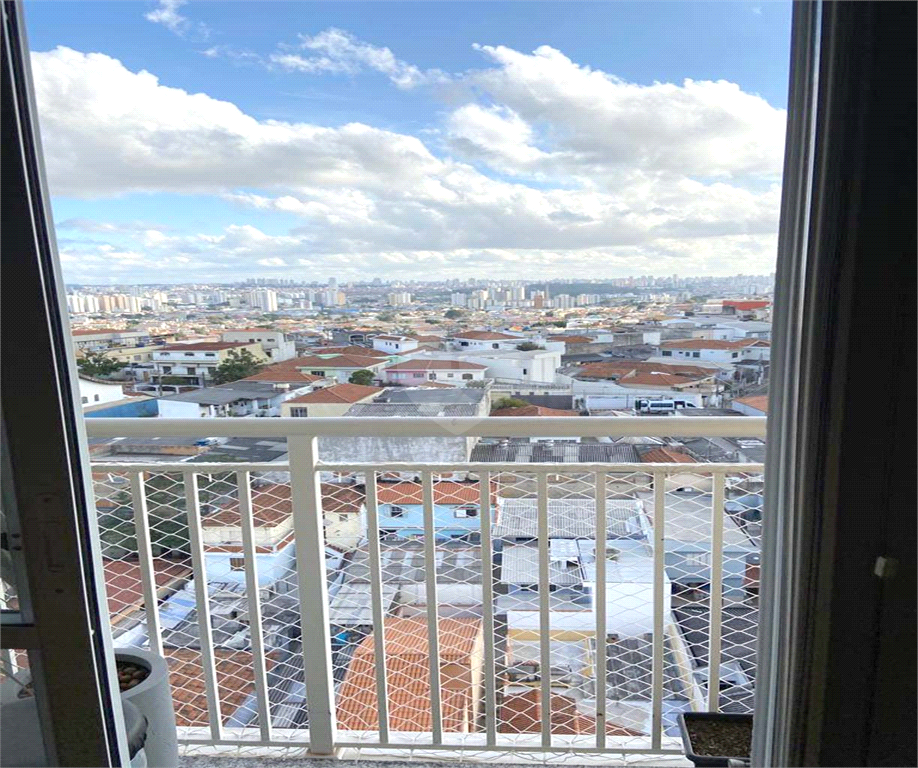Foto REO766056