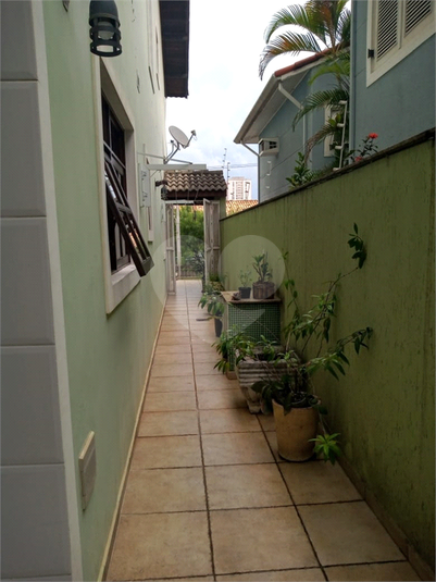 Foto REO766150