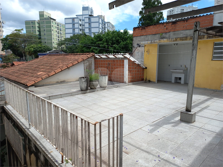 Foto REO766172