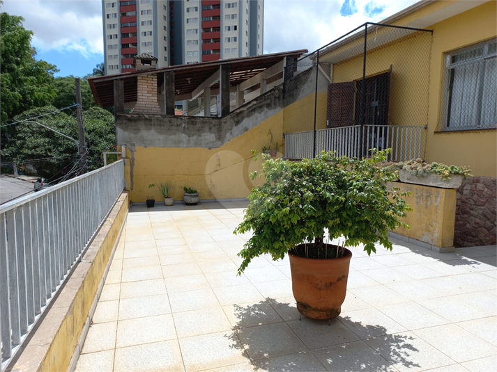 Foto REO766172