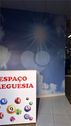 Foto REO766222