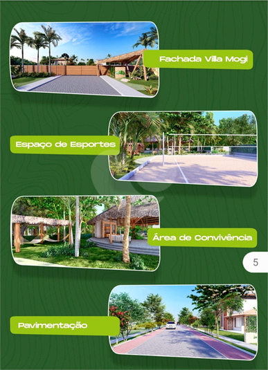 Foto REO766360