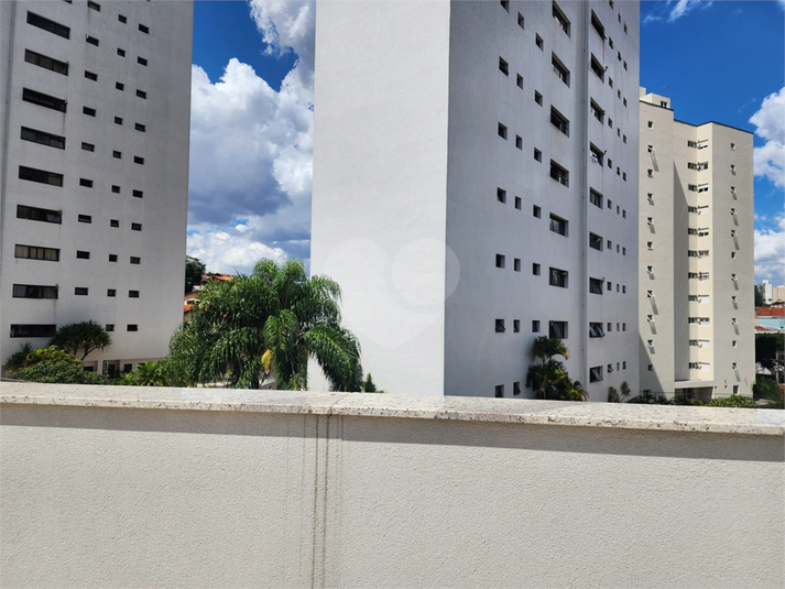 Foto REO766736