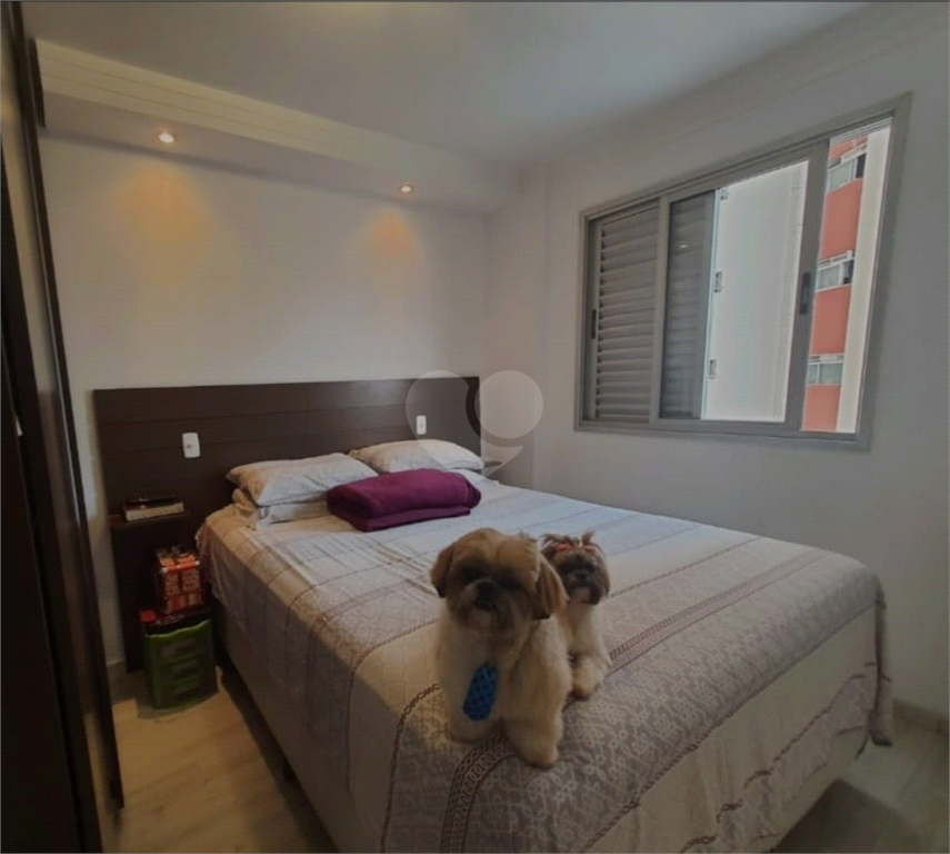 Venda Apartamento São Paulo Cambuci REO766849 15