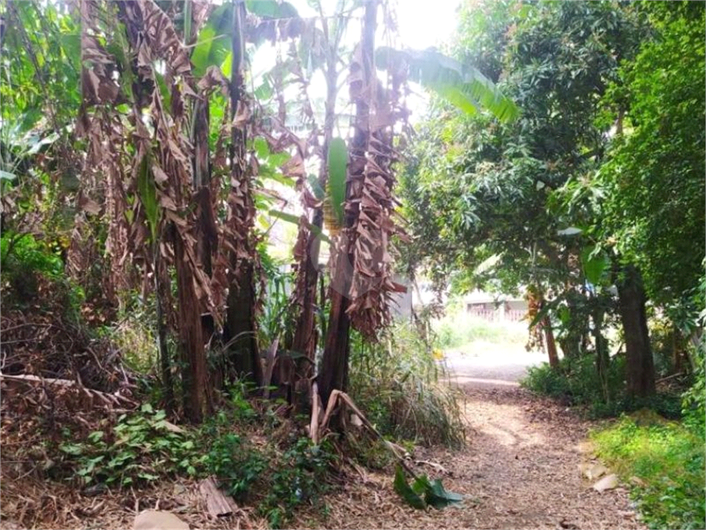 Venda Terreno São Paulo Vila Medeiros REO766871 11