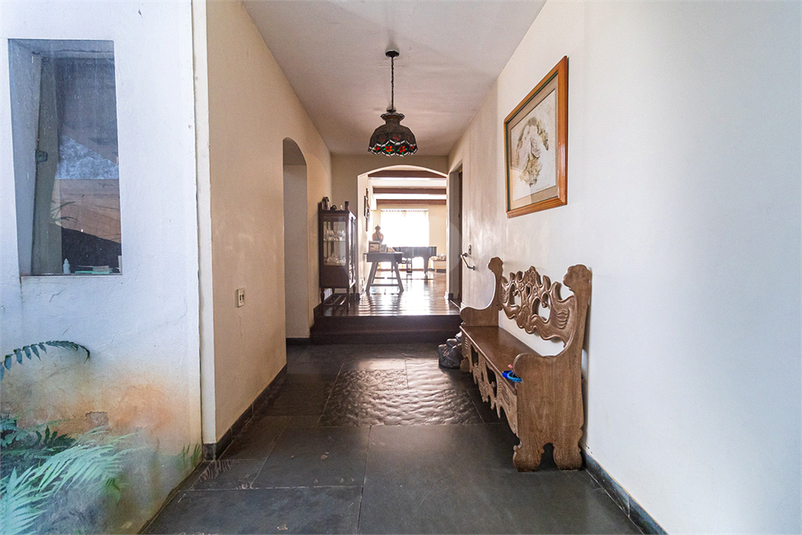 Foto REO766971