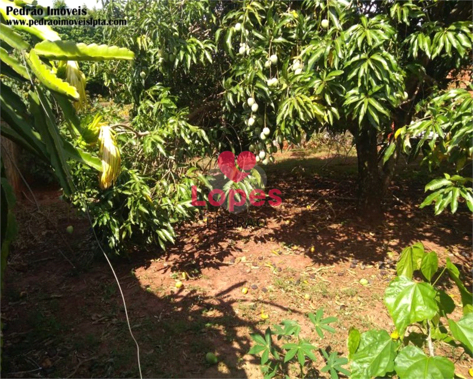 Venda Terreno Lençóis Paulista Jardim Itamaraty REO767086 2