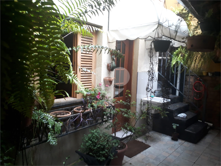 Foto REO767095