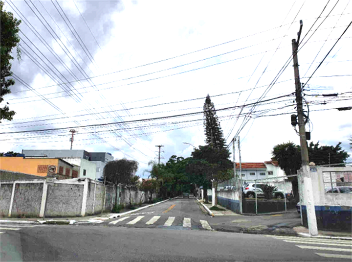Foto REO767210