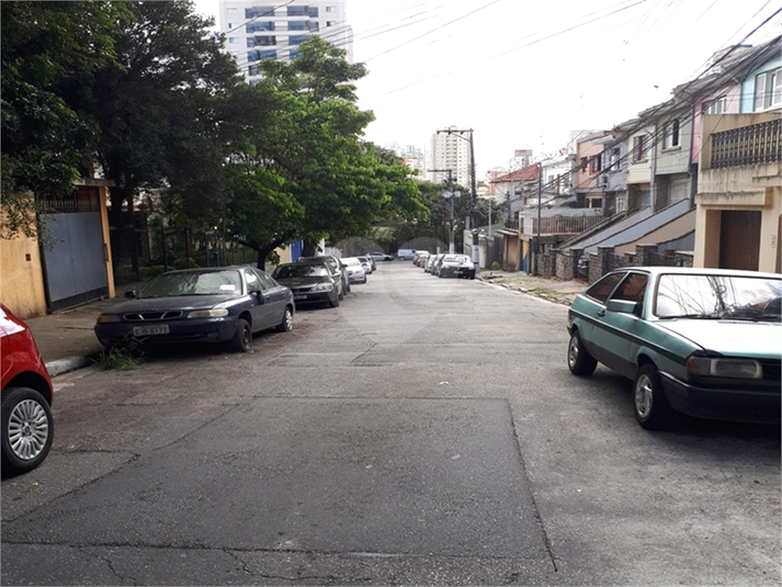 Foto REO767261