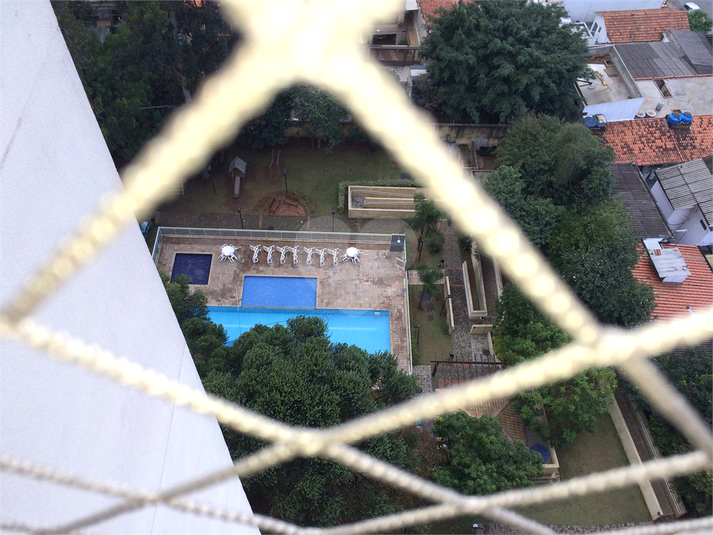 Foto REO767434