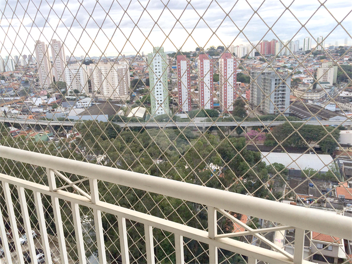 Foto REO767434
