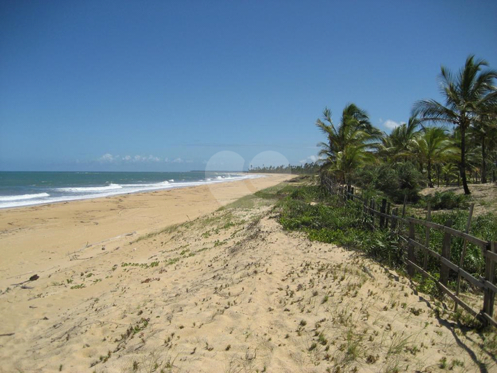 Foto REO768090