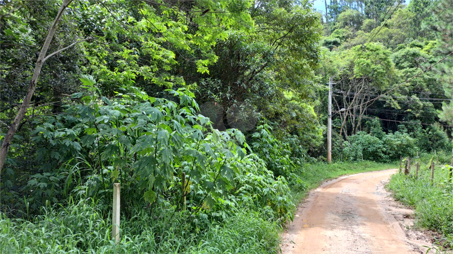 Venda Terreno Mairiporã Caceia REO768206 8