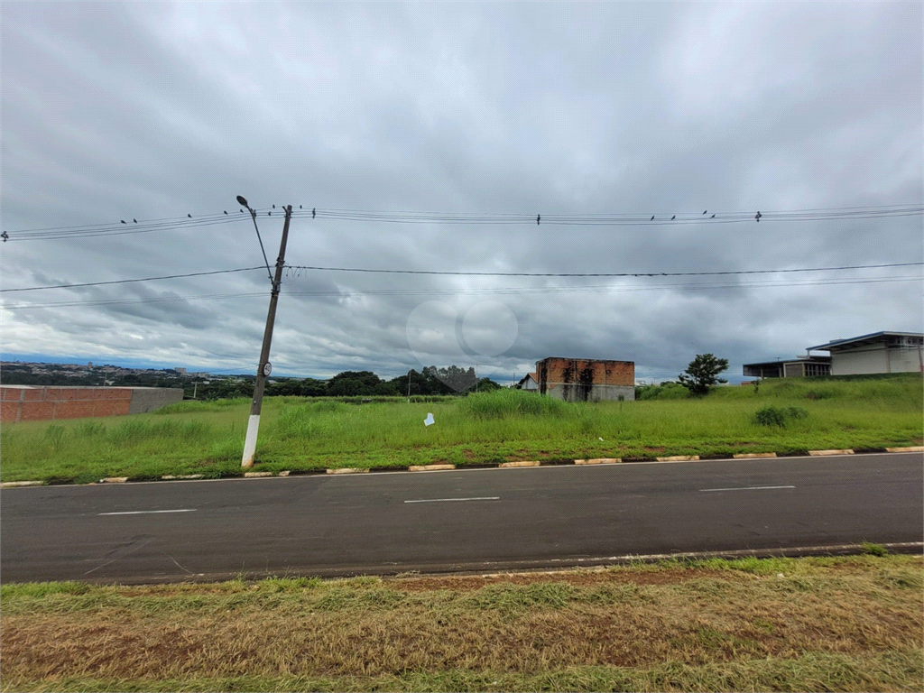 Venda Terreno Paulínia Jardim Planalto REO768281 9