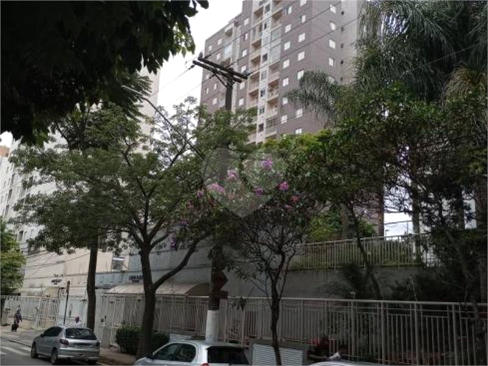 Foto REO768320