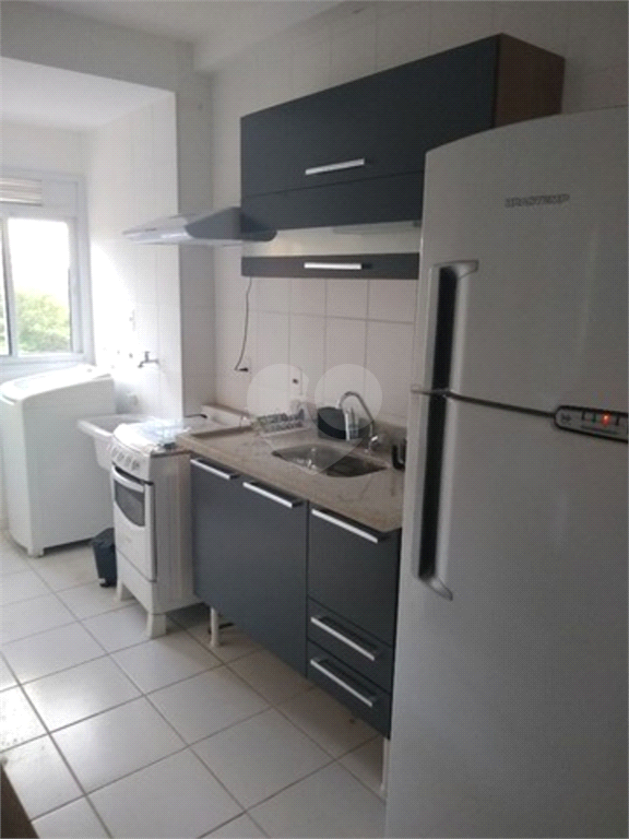 Aluguel Apartamento Sorocaba Jardim Ipê REO768768 12