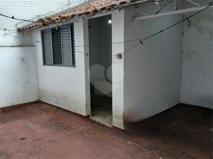 Foto REO768806