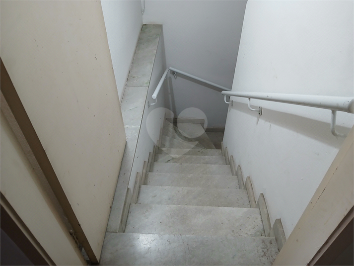 Foto REO768806