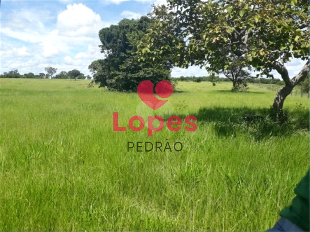 Venda Sítio Lençóis Paulista Zona Rural REO769053 6