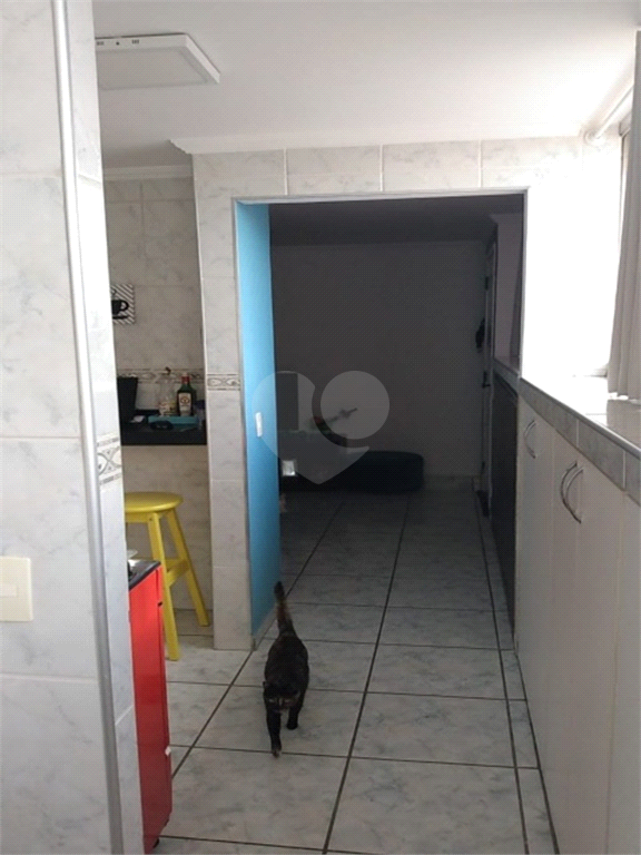 Venda Apartamento Jundiaí Parque Cecap REO769149 11