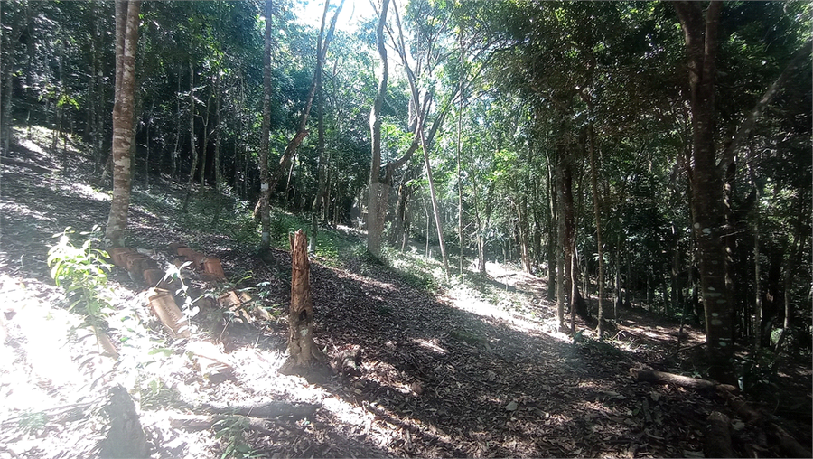 Foto REO769163