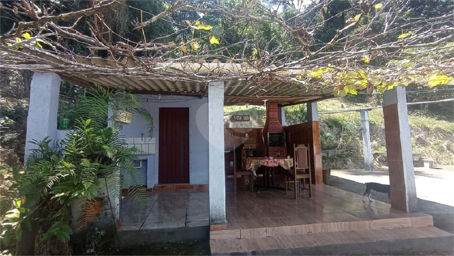 Foto REO769163