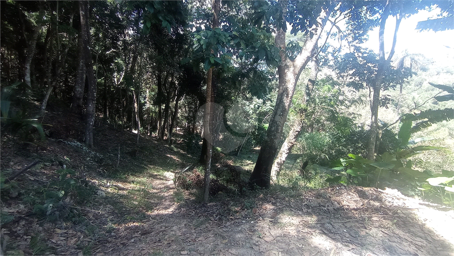 Foto REO769163