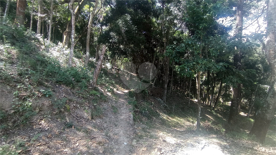 Foto REO769163