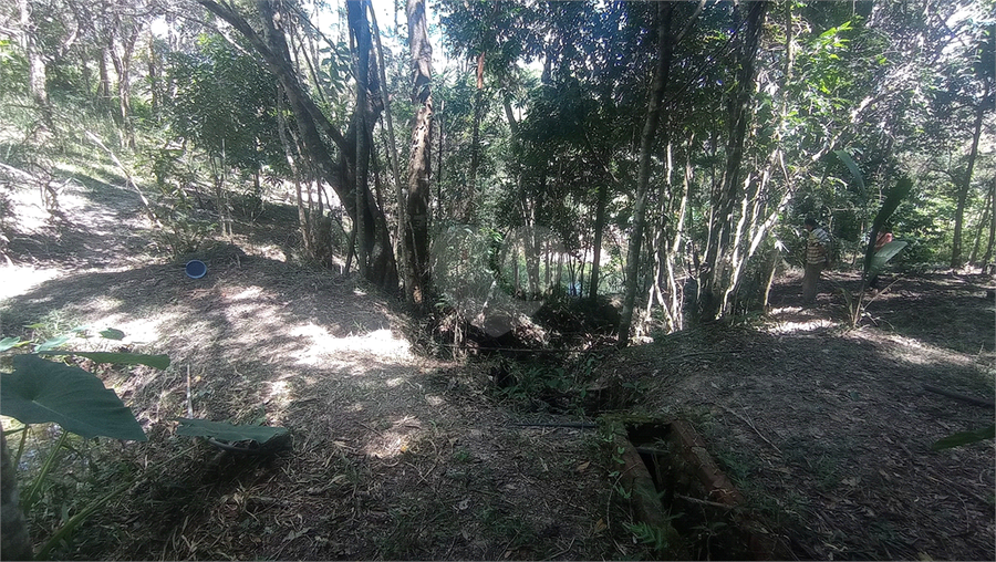 Foto REO769163