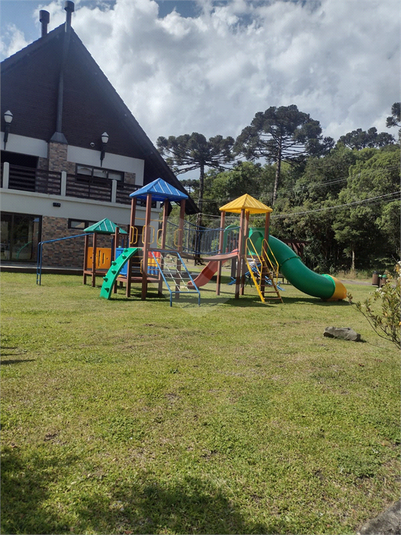 Foto REO769281