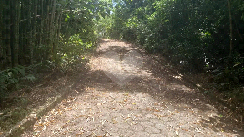 Venda Terreno Mairiporã Palmeiras REO769334 3