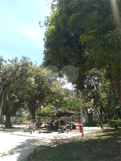 Foto REO769524