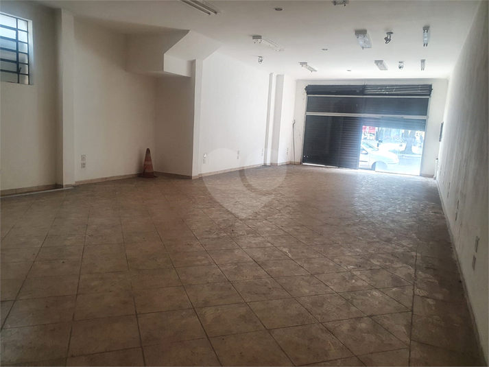 Foto REO769642