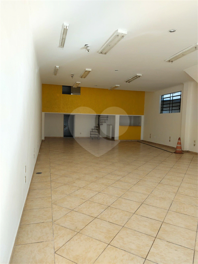 Foto REO769642
