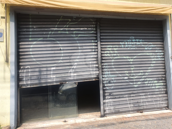 Foto REO769642