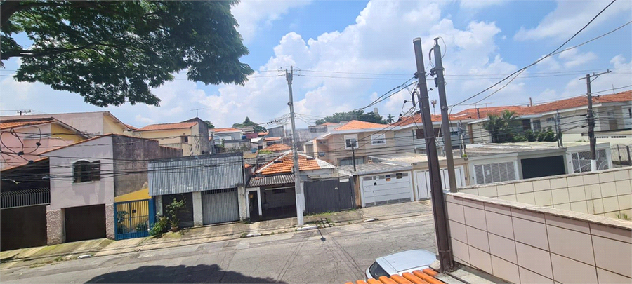 Foto REO769733