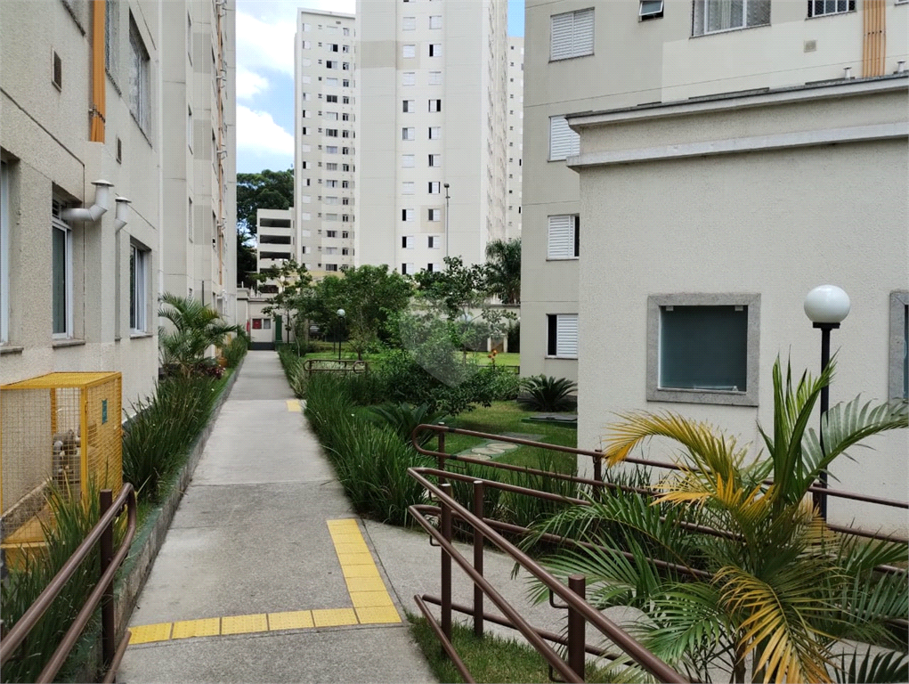 Venda Apartamento São Paulo Jardim Íris REO769991 16